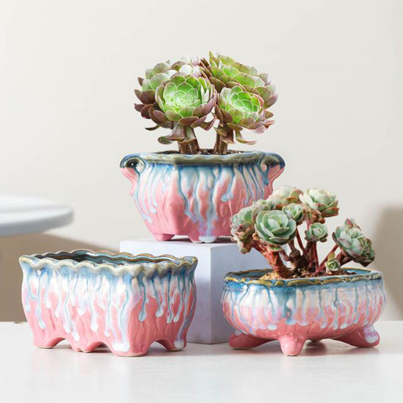 Pot tanaman Bonsai bersinar, P - Bonsai Tree Zen Garden ulasan dan harga