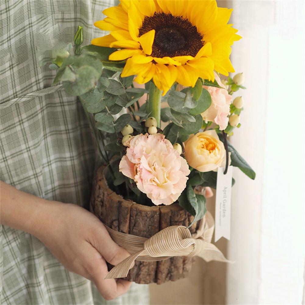 Pot bunga kreatif Vintage tana - Bonsai Tree Zen Garden ulasan dan harga