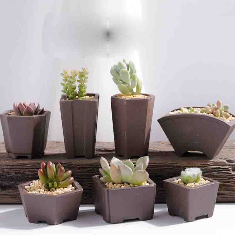 Yixing Ungu Pasir Pot Bunga Mi - Bonsai Tree Zen Garden ulasan dan harga